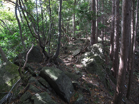 20171102hike (37)